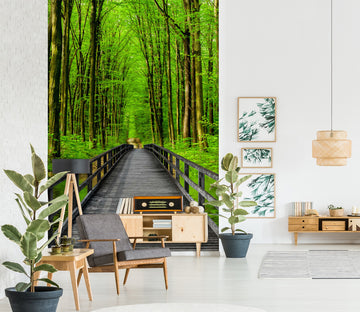 3D Forest Path 1536 Wall Murals