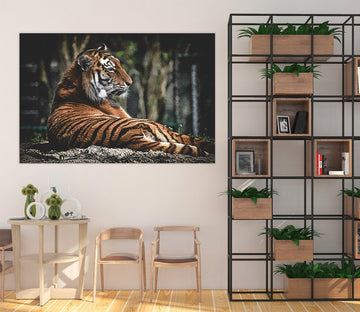 3D Tiger Squatting On The Stone 128 Animal Wall Stickers Wallpaper AJ Wallpaper 2 