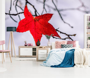 3D Red Leaf 1422 Marco Carmassi Wall Mural Wall Murals