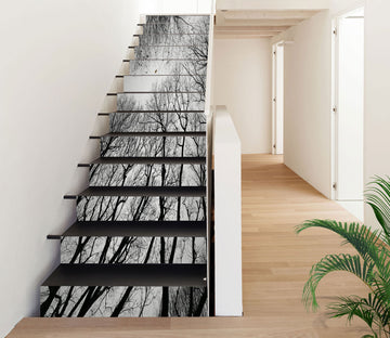 3D Black And White Dead Tree 212 Stair Risers