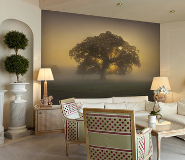 3D Lush Tree 030 Assaf Frank Wall Mural Wall Murals