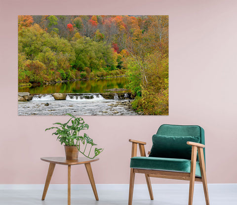 Designer Kathy Barefield Wall Sticker collection