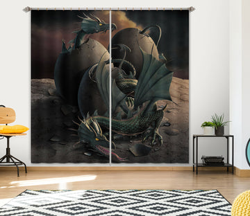 3D Dragon Offspring 033 Vincent Hie Curtain Curtains Drapes