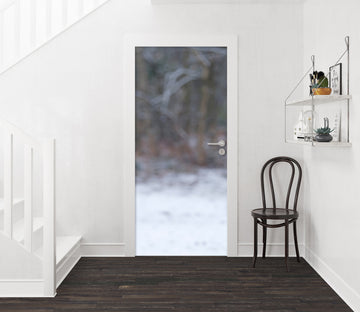 3D Hazy Scenery 5147 Assaf Frank Door Mural