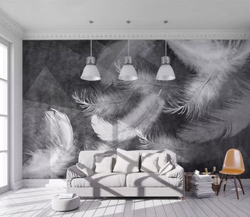 3D Misty Feathers WC2664 Wall Murals