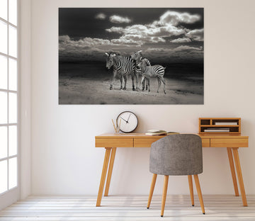 3D Zebra Cloud 135 Animal Wall Stickers Wallpaper AJ Wallpaper 2 