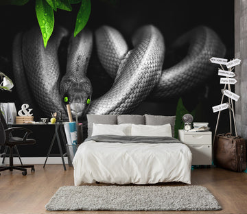 3D Black Snake 264 Wall Murals