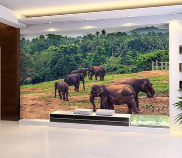 3D Elephant Herd 1056 Wall Murals