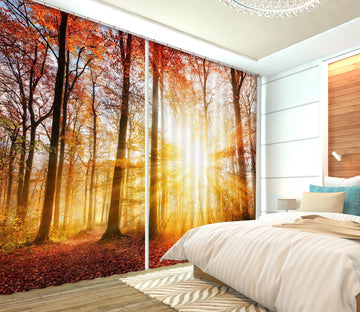 3D Morning Forest 103 Curtains Drapes