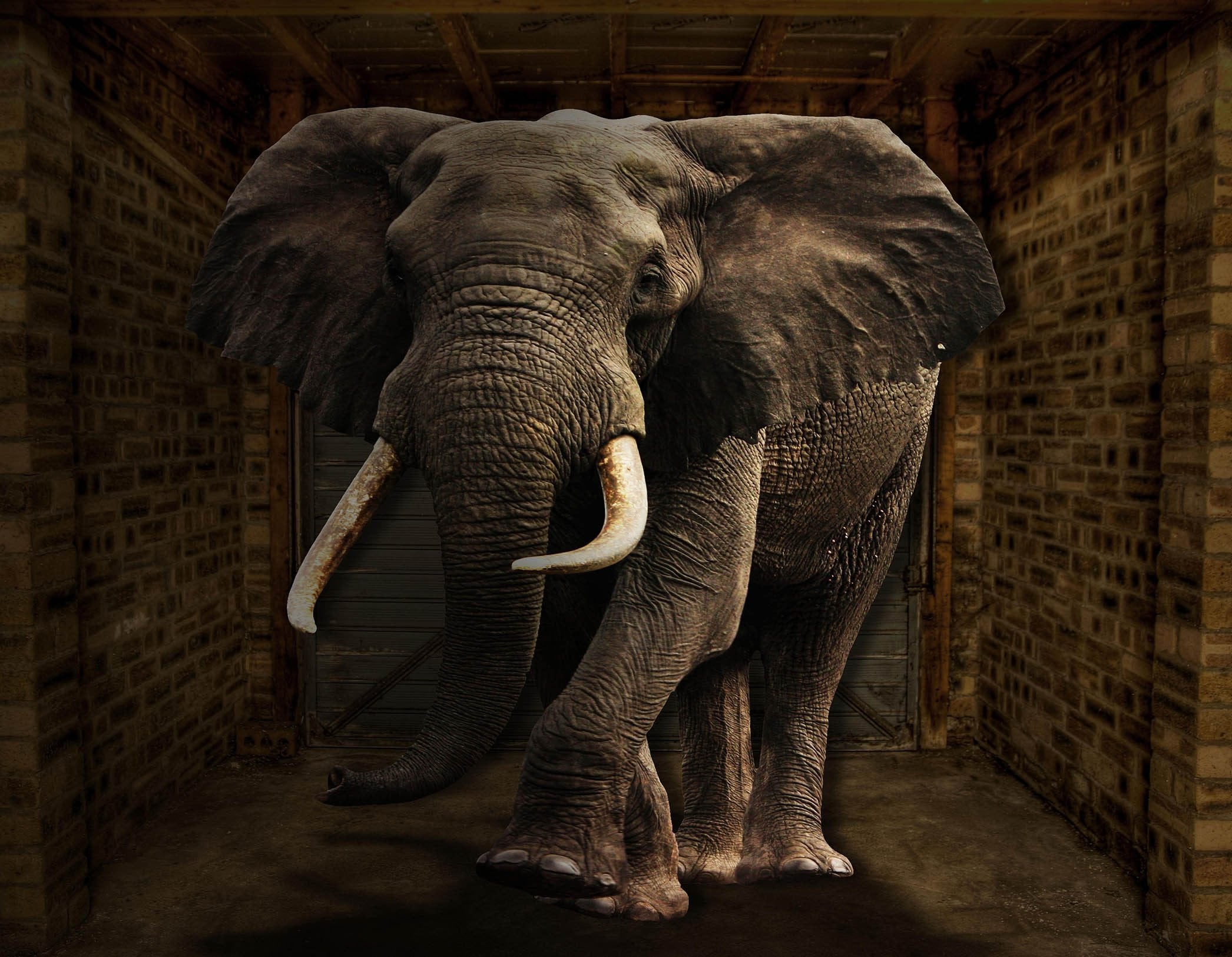 3D Big Elephant 404 Garage Door Mural Wallpaper AJ Wallpaper 