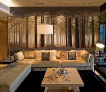 Densely Forest Trunks Wallpaper AJ Wallpaper 