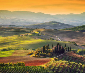 Undulating Mountains Wallpaper AJ Wallpaper 