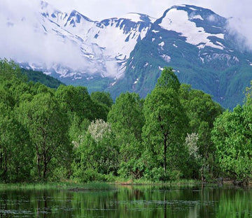 Jokuls Wallpaper AJ Wallpaper 