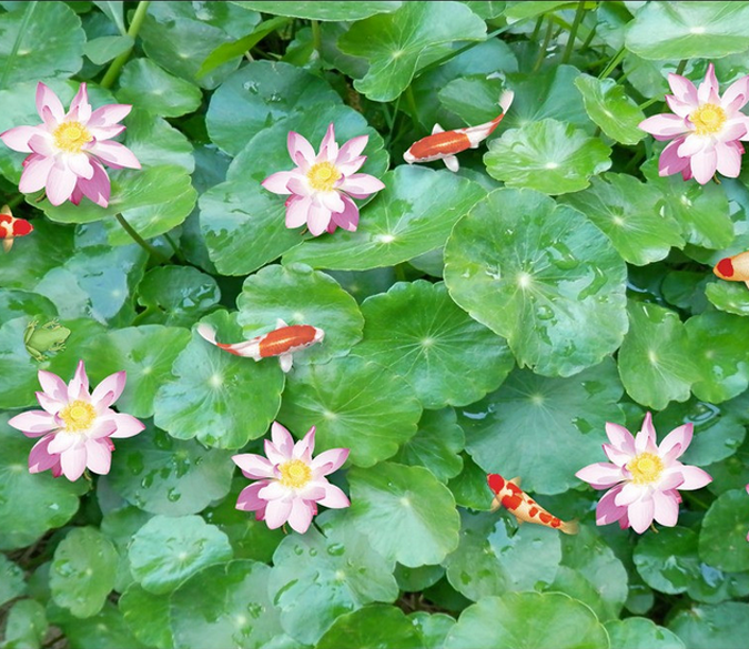 3D Green Lotus Pond Floor Mural Wallpaper AJ Wallpaper 2 