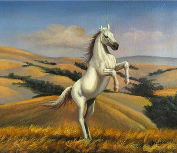 Jumping Horse Wallpaper AJ Wallpaper 