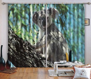 3D Tree Lovely Koala Curtains Drapes Wallpaper AJ Wallpaper 