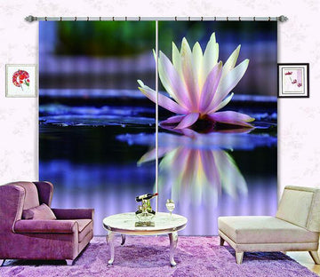 3D Pure Water Lily 670 Curtains Drapes Wallpaper AJ Wallpaper 