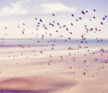 Flying Birds 3 Wallpaper AJ Wallpaper 