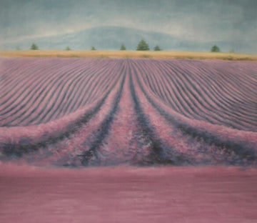 Flowers Fields Wallpaper AJ Wallpaper 