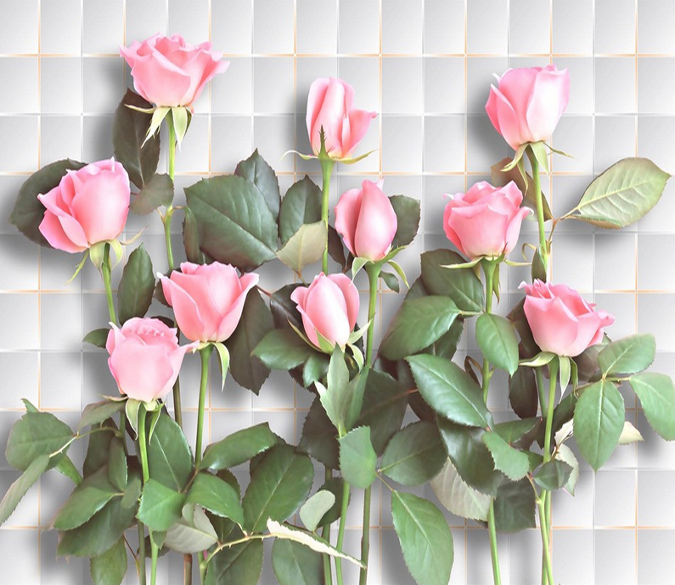 Fresh And Pure Roses Wallpaper AJ Wallpaper 