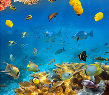 3D Underocean World Floor Mural Wallpaper AJ Wallpaper 2 
