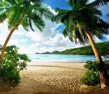 Green Coconut Trees Wallpaper AJ Wallpaper 