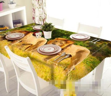 3D Grassland Lions 1267 Tablecloths Wallpaper AJ Wallpaper 
