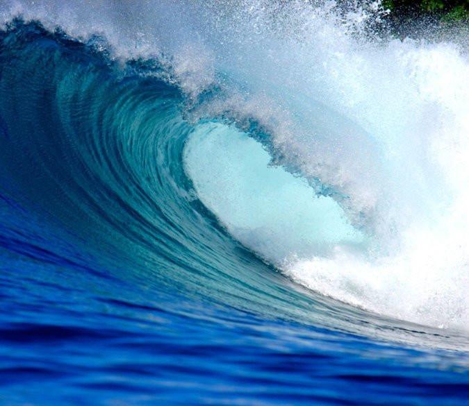 CHARMING WAVES 226cm (H) and 293cm (W) IN VINYL AJ Wallpaper 