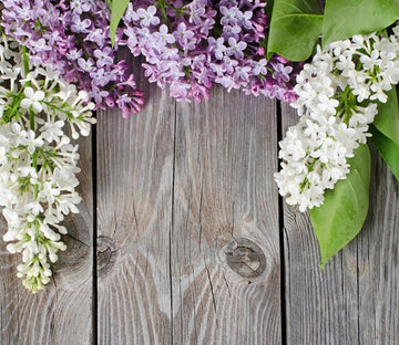 Flowers Boards Wallpaper AJ Wallpaper 