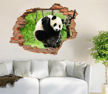 3D Lovely Panda 191 Broken Wall Murals Wallpaper AJ Wallpaper 