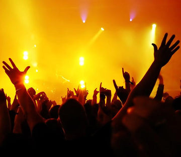 Revelers Wallpaper AJ Wallpaper 