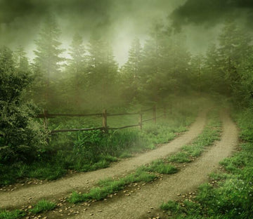 Misted Road Wallpaper AJ Wallpaper 
