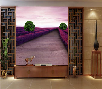 Flowers Fields Path Wallpaper AJ Wallpaper 