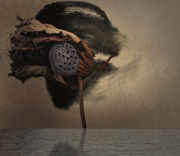 Lotus Wallpaper AJ Wallpaper 