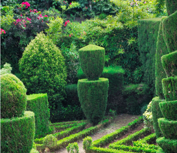 Garden Landscape 1 Wallpaper AJ Wallpaper 