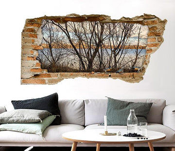 3D Lakeside Bare Trees Birds 105 Broken Wall Murals Wallpaper AJ Wallpaper 