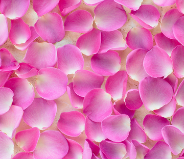 3D Bright Petals Floor Mural Wallpaper AJ Wallpaper 2 