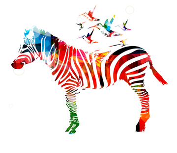 Colored Zebra Wallpaper AJ Wallpaper 