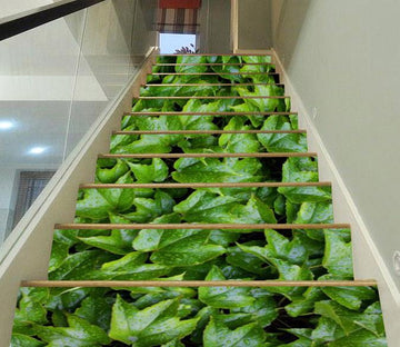 3D Fresh Leaves 653 Stair Risers Wallpaper AJ Wallpaper 