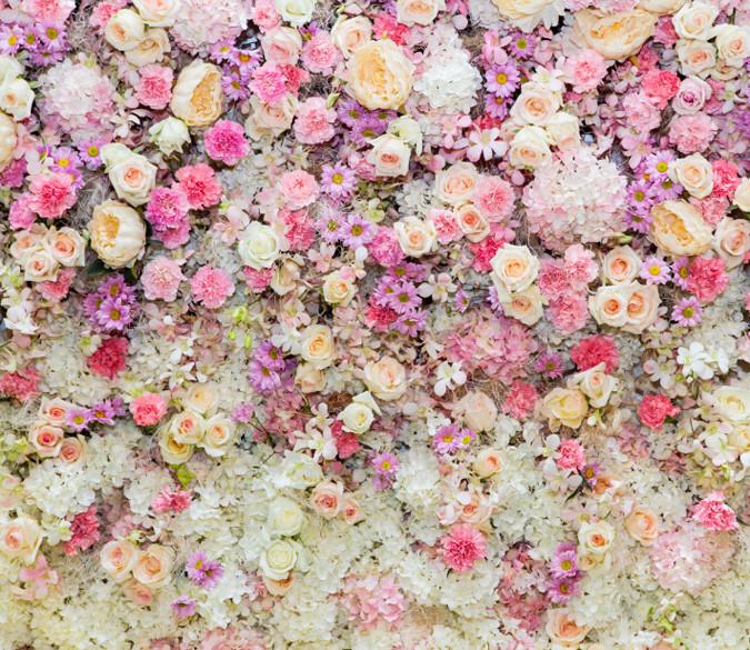 Flowers 8 Wallpaper AJ Wallpaper 