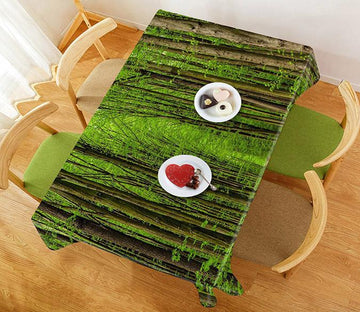 3D Forest Path 551 Tablecloths Wallpaper AJ Wallpaper 