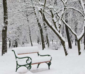 Snowed Park 1 Wallpaper AJ Wallpaper 