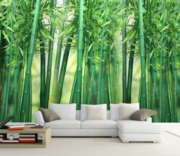 Green Bamboo Forest Wallpaper AJ Wallpaper 