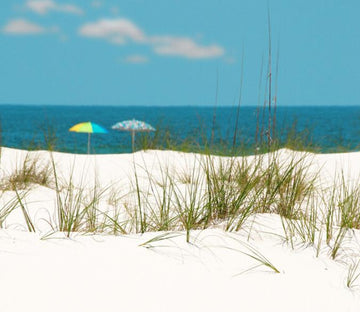 Beach Wallpaper AJ Wallpaper 