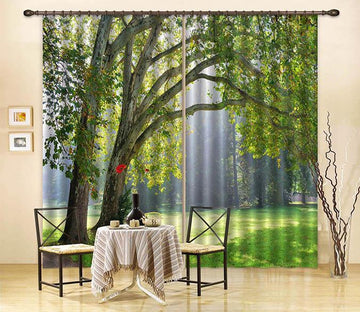 3D Green Grassland Trees 2237 Curtains Drapes Wallpaper AJ Wallpaper 