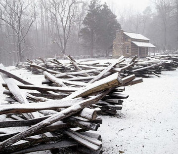 Snowy Forest Cottage Wallpaper AJ Wallpaper 