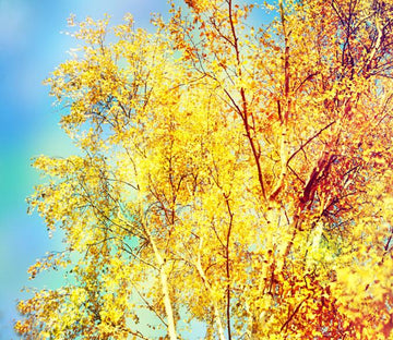Yellow Branches Wallpaper AJ Wallpaper 