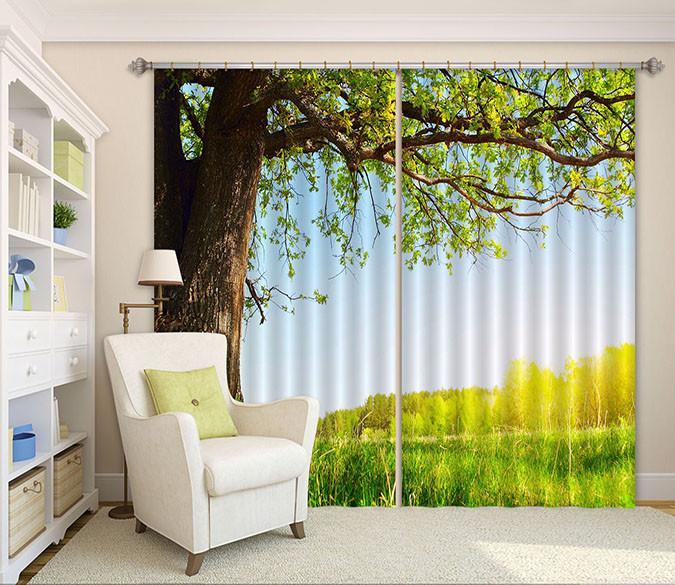 3D Lawn Tree 261 Curtains Drapes Wallpaper AJ Wallpaper 