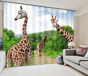 3D Forest Road Giraffes 905 Curtains Drapes Wallpaper AJ Wallpaper 