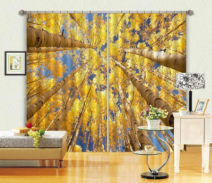 3D Pretty Tall Trees 02 Curtains Drapes Wallpaper AJ Wallpaper 